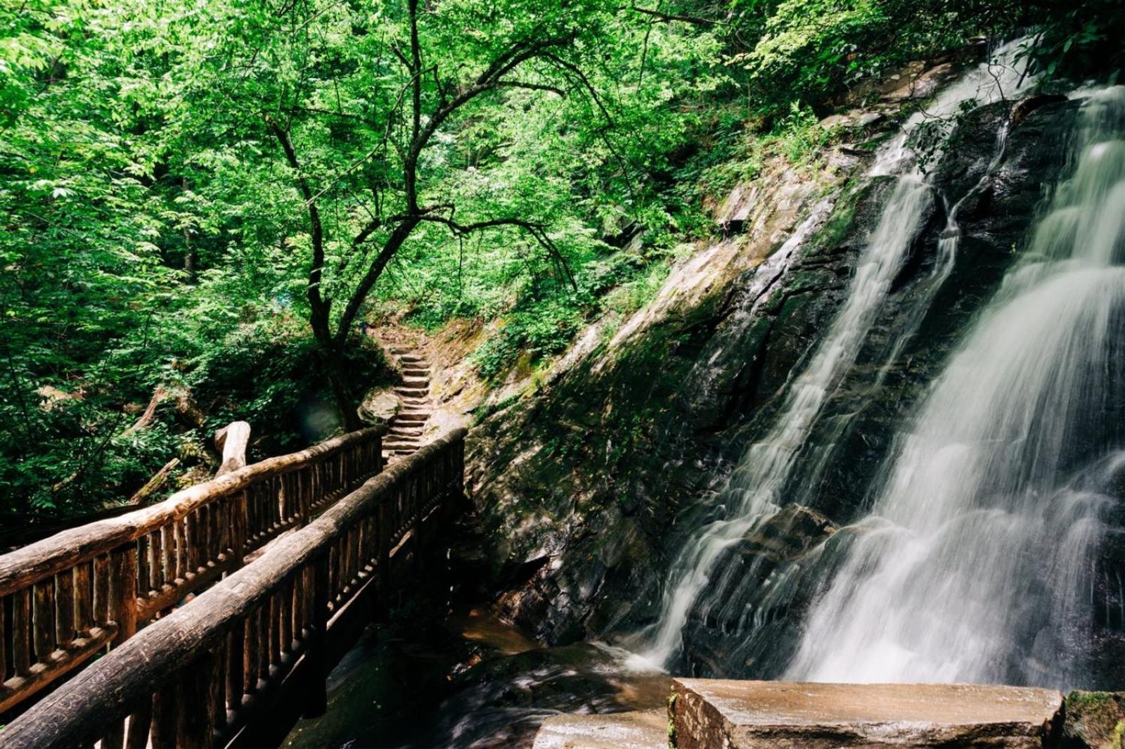 Hidden Star Hideaway-Blackberry Farm-Smoky Mtn Nat Park-Hot Tub- Fire Pit- Fenced Yard- Pet Friendly Walland Экстерьер фото